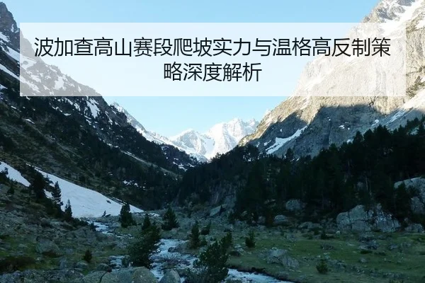 bo-jia-cha-gao-shan-sai-duan-pa-po-shi-li-yu-wen-ge-gao-fan-zhi-ce-lve-shen-du-jie-xi-3-316.jpg