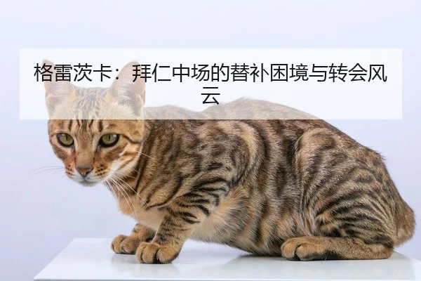 格雷茨卡：拜仁中场的替补困境与转会风云