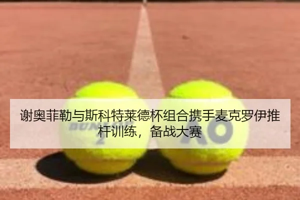 xie-ao-fei-lei-yu-si-ke-te-lai-de-bei-zu-he-xie-shou-mai-ke-luo-yi-tui-gan-xun-lian-bei-zhan-da-sai-3-247.jpg