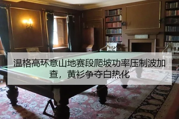 wen-ge-gao-huan-yi-shan-di-sai-duan-pa-po-gong-lv-ya-zhi-bo-jia-cha-huang-shan-zheng-duo-bai-re-hua-2-230.jpg